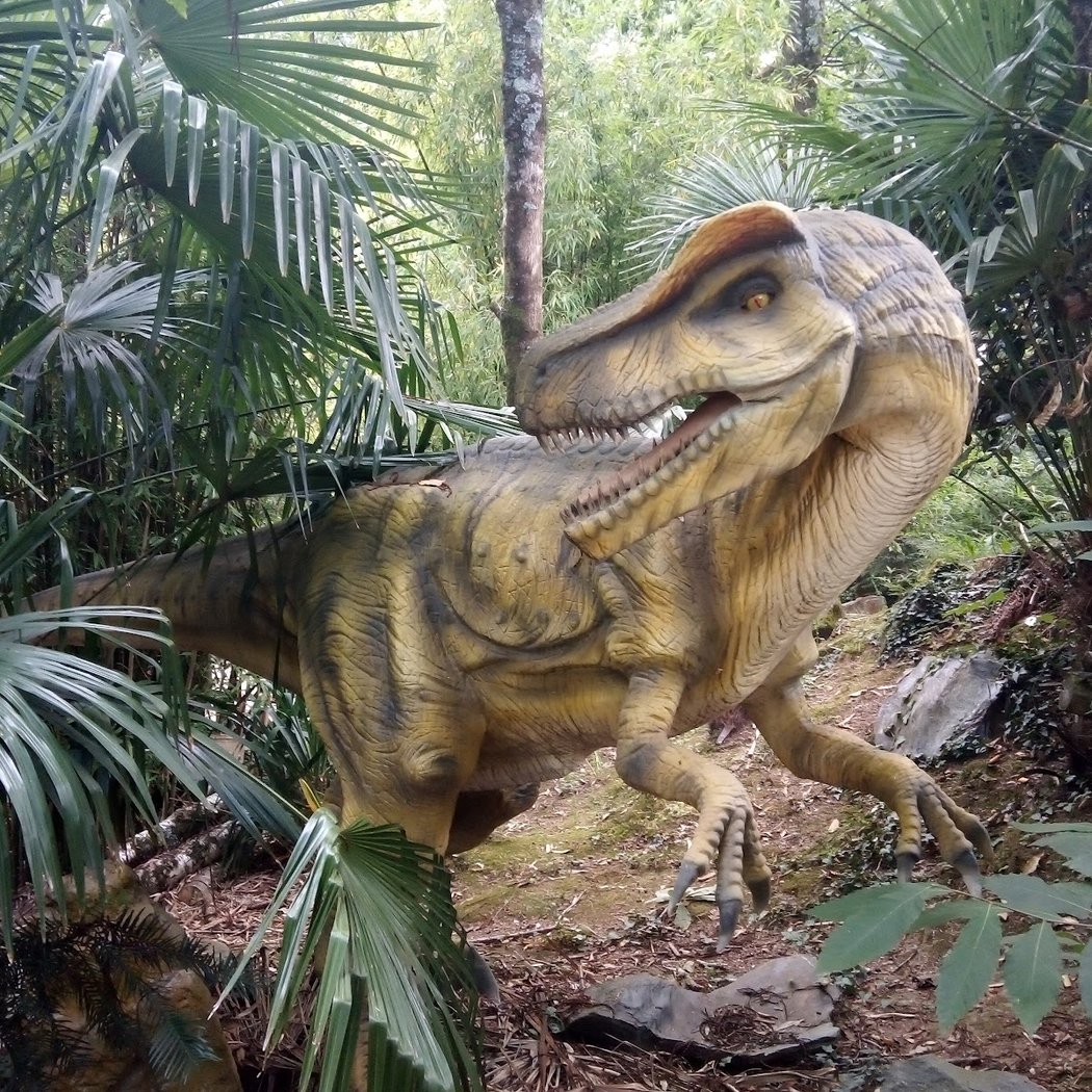 Tropical Parc 4